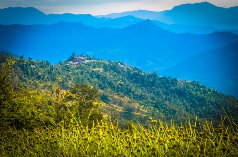 Walking through the small village, waiting for the bus to retrieve us, there was no shortage of beauty along the way.