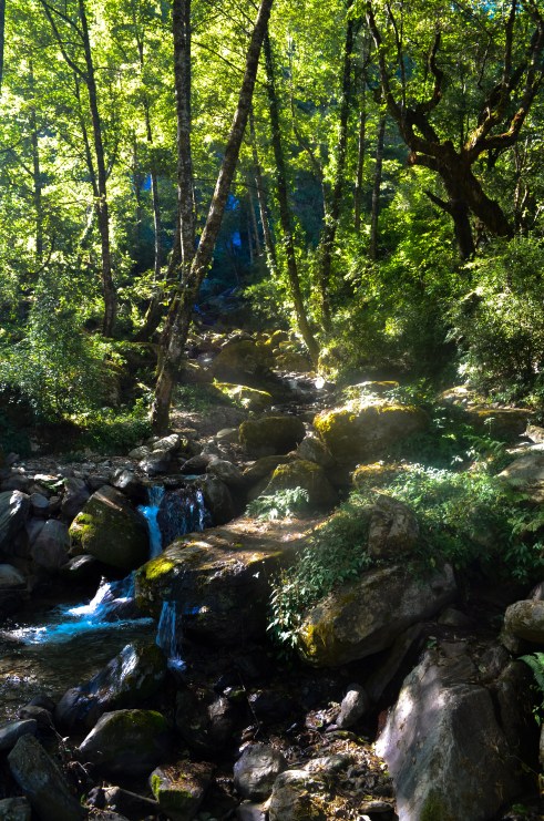 Nepal first day waterfall